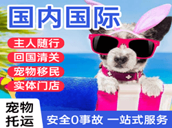 吕梁航空快运国际宠物托运 【国